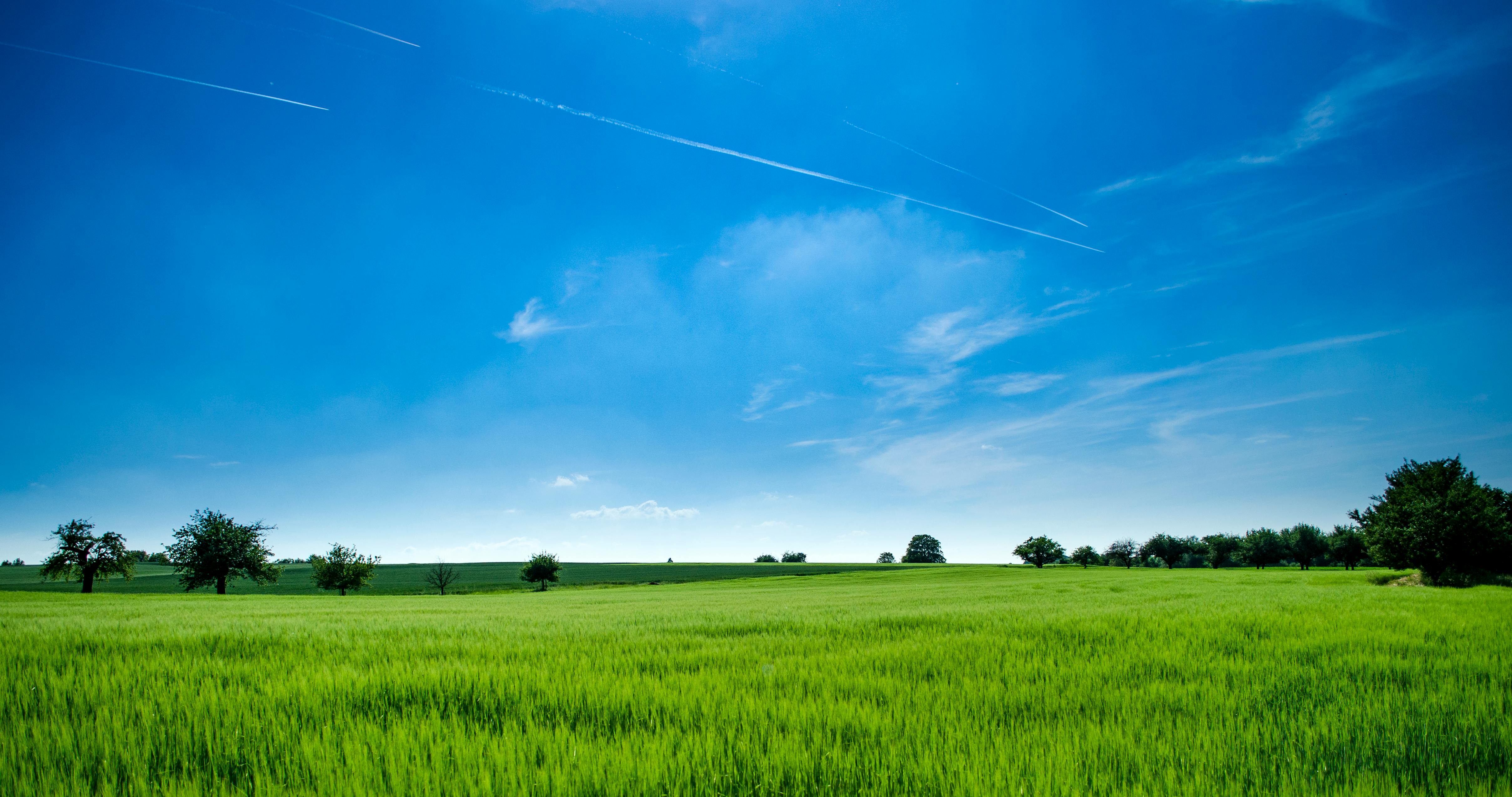 Gerrards Energy — innovating energy for a brighter future