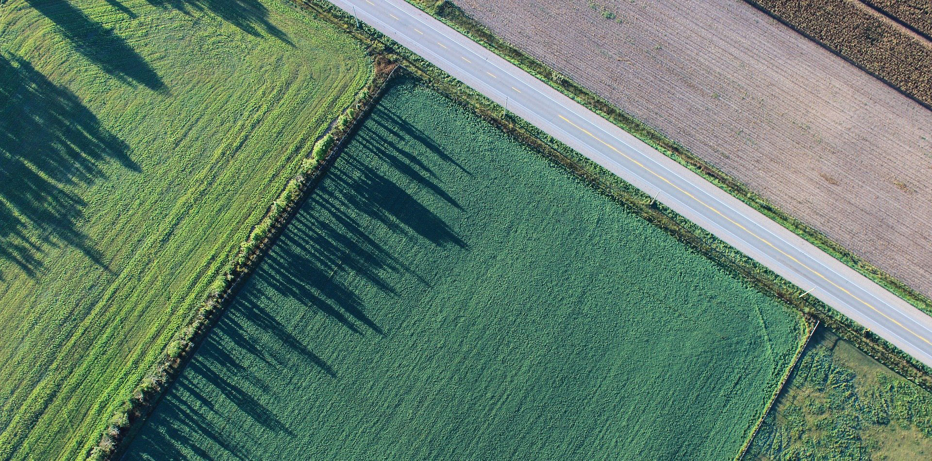 Land and countryside managed by Gerrards of Swinton